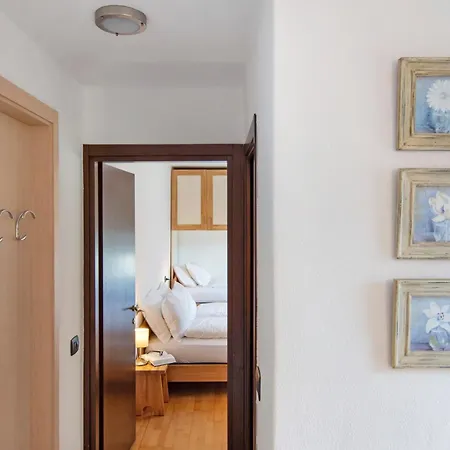 Il Nido Del *